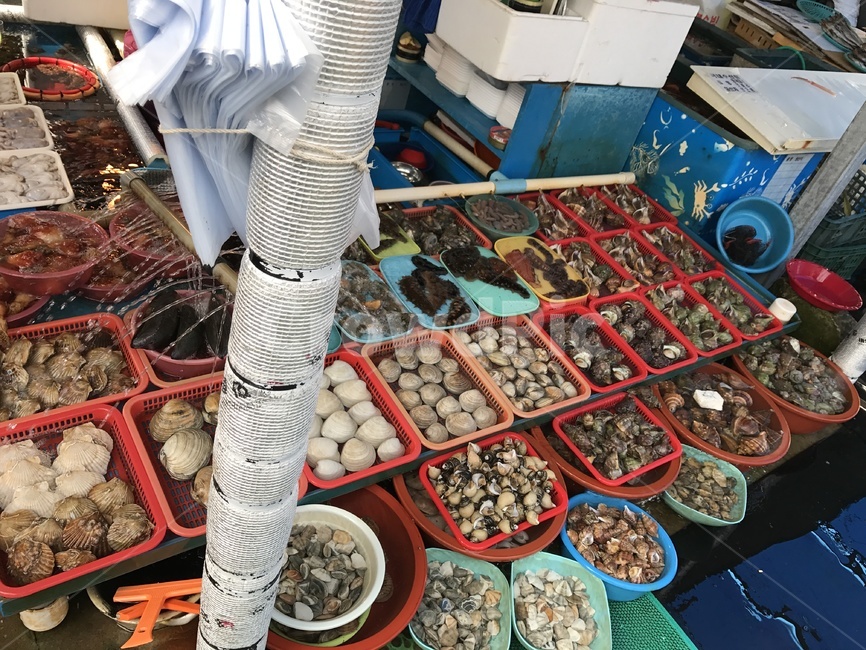 해산물시장,영덕,영덕해산물시장,신선한해산물,해산물,수산시장,시장,마트,마켓,market,mart,market place,음식,식재료,요리,food,cook,meal,dishes,food reserves,수산물,해산물,fishery products,seafood