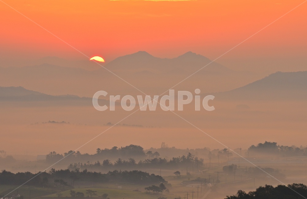 전남,함평,밀재,밀재일출,여명,아침,해돋이,sky,하늘,dawn,새벽,redsky,붉은하늘,fog,안개,plant,식물,nature,자연,outdoors,옥외,scenery,풍경,landscape,경치,mountain,산