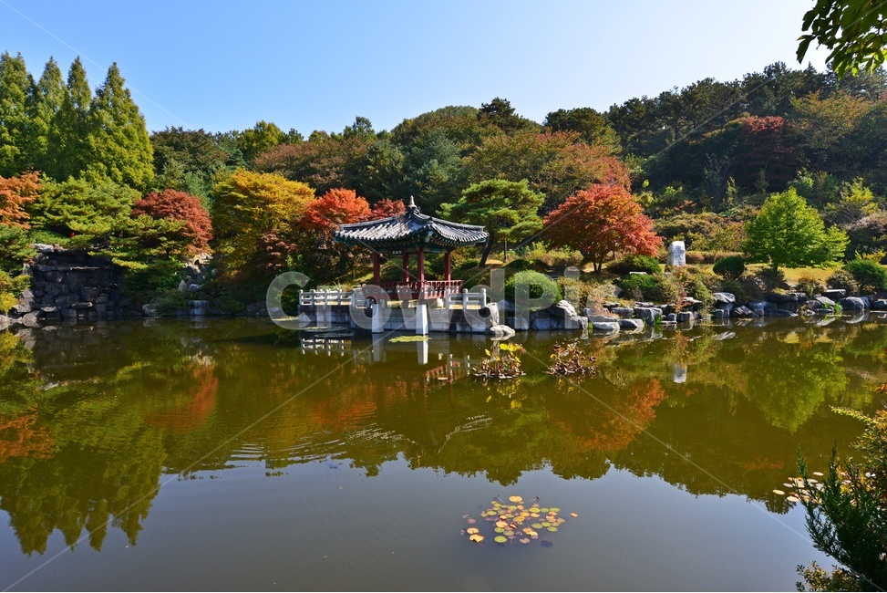 nature,자연,outdoors,옥외,architecture,건축물,water,물,plant,식물,tree,나무,현충원,국립현충원,국립,현충지,추색,가을,계절,만추,단풍,단풍잎,반영,정자,경치,경관,풍경