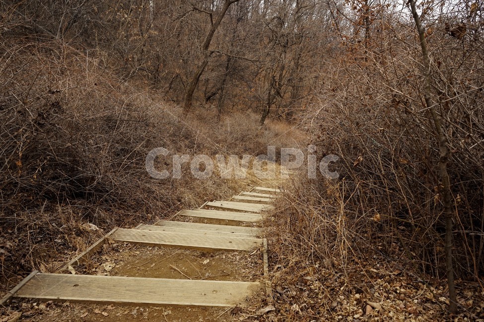 산행,식물,자연,초봄,계절,풍경,landscape,nature,나무,낙엽,나무가지,trees,desolation,solitary,fallenleaves,brown,branches,작은길,숲길,산책길,낙옆,겨울산,trail,forest,자연,풍경,nature,landscape,bridge,다리,building,건물,boardwalk,산책로