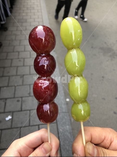 탕후루,과일탕후루,포도탕후루,포도,적포도,청포도,길거리음식,과일,fruit