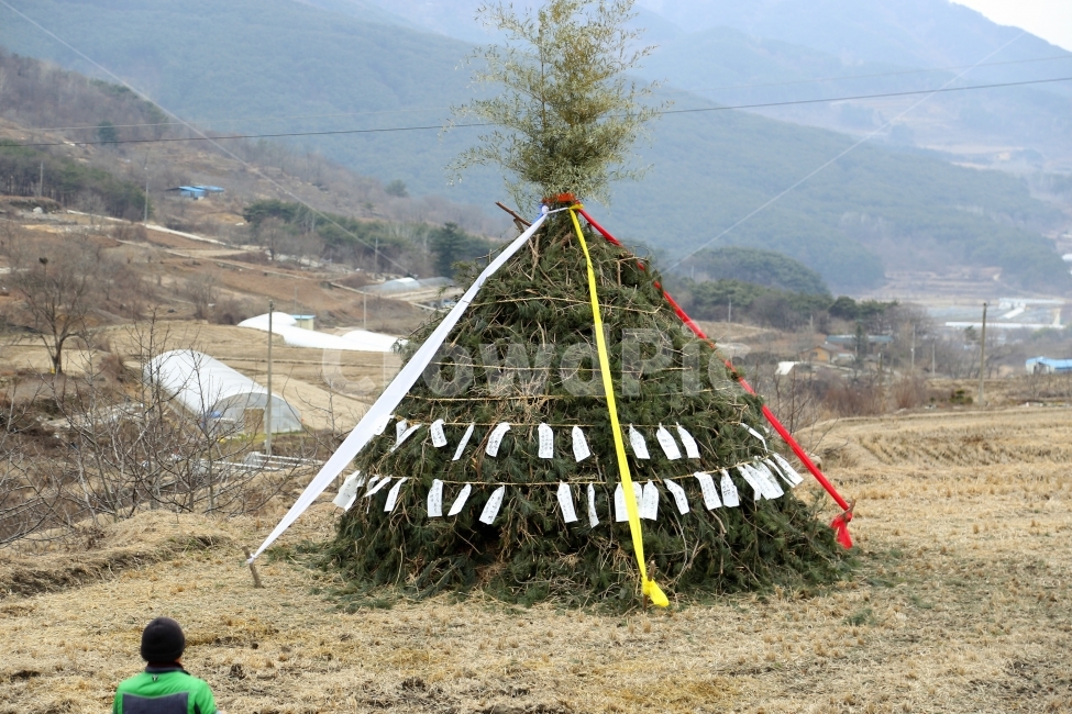보름,대보름,달집,달집태우기,쥐불놀이,전통,노력,소원,마을,한국전통,한국문화,korean traditional,korean culture