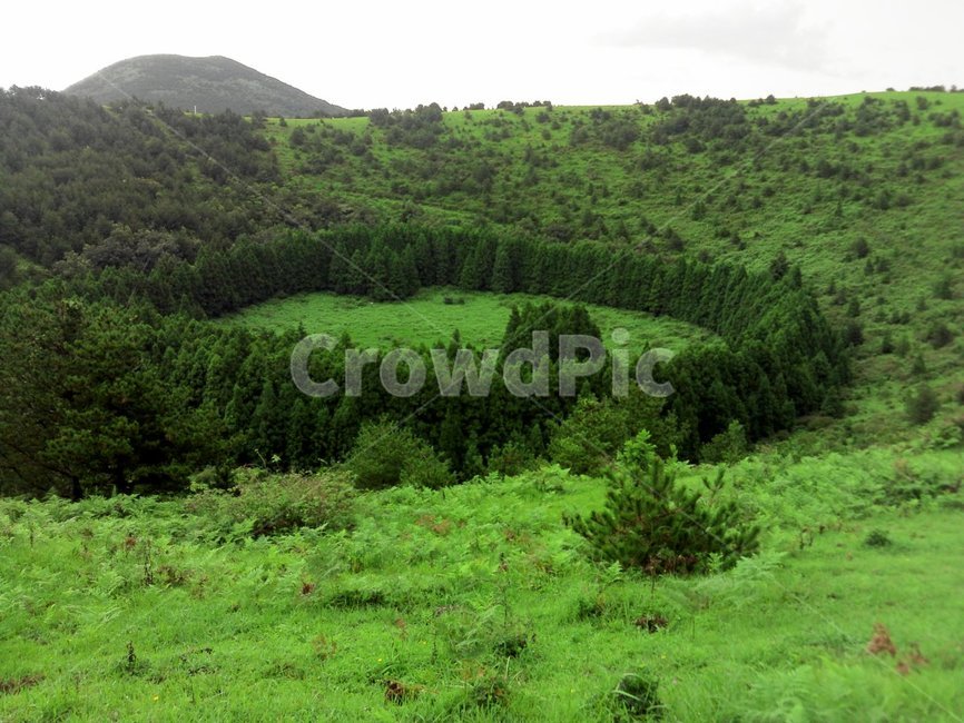 nature,자연,제주오름,목초지,옥외