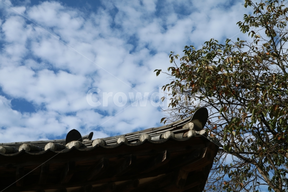 지붕,처마,한옥,구름,하늘,한국전통,한국문화,korean traditional,korean culture,건축물,건물외관,exterior,building,structure,architecture,construction
