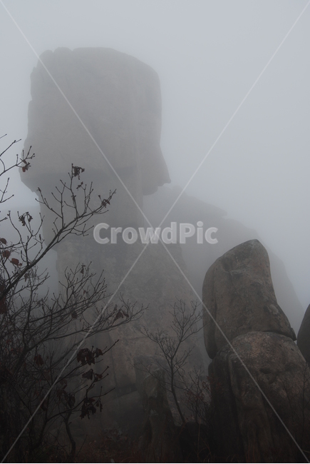 천관산,도립공원,장흥,100대명산,바위,안개,자연,풍경,nature,landscape,한국자연풍경,한국자연경관,korea nature landscape,weather,날씨,outdoors,옥외