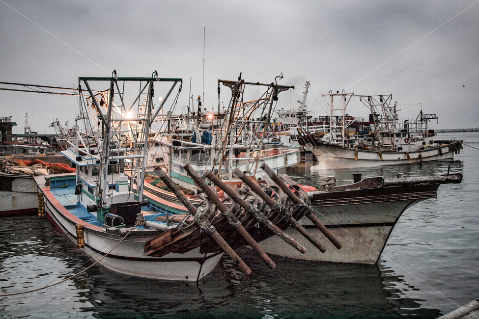 바다,어선,포구,하늘,어촌,어업,교통,교통수단,조업,산업,industry,industrial,어업,fishery,fishing industry