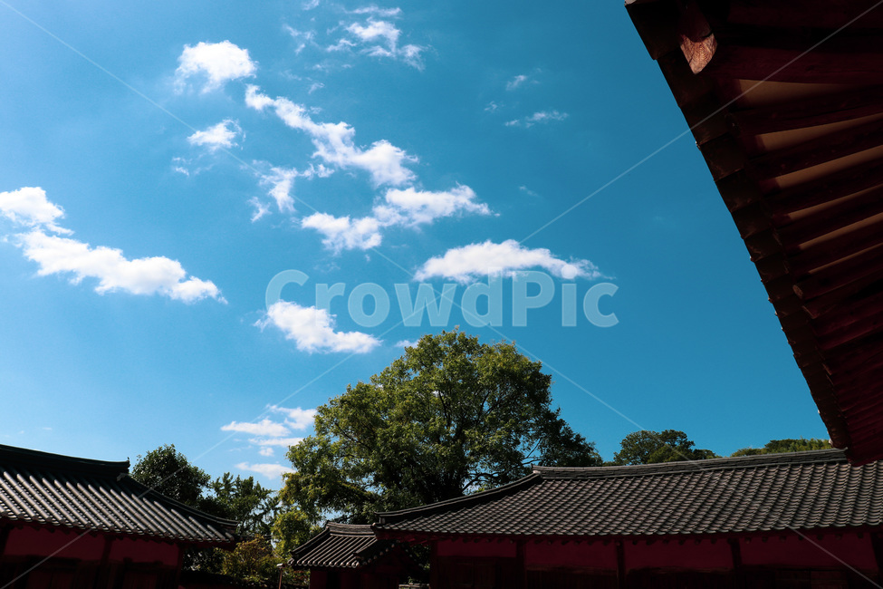 roof,지붕,하늘,sky,기와,한옥,koreanstylehouse,house,한국전통,한국문화,korean traditional,korean culture