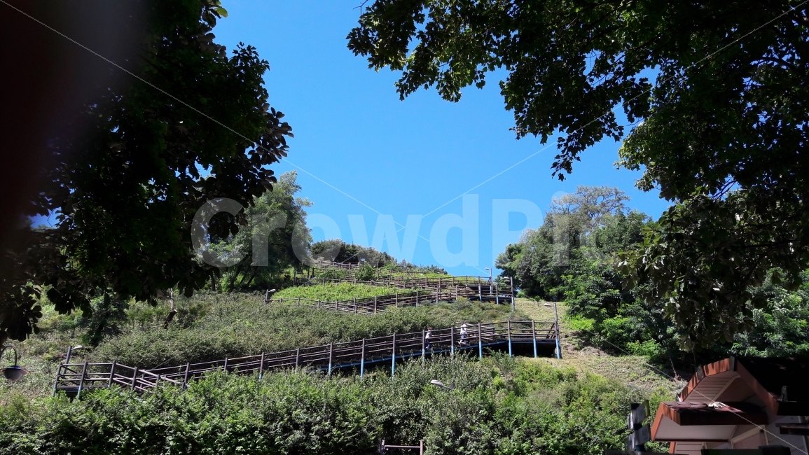 하늘,파란,계단,초록,나무,자연,풍경,nature,landscape,outdoors,옥외,garden,정원,arbour,정자