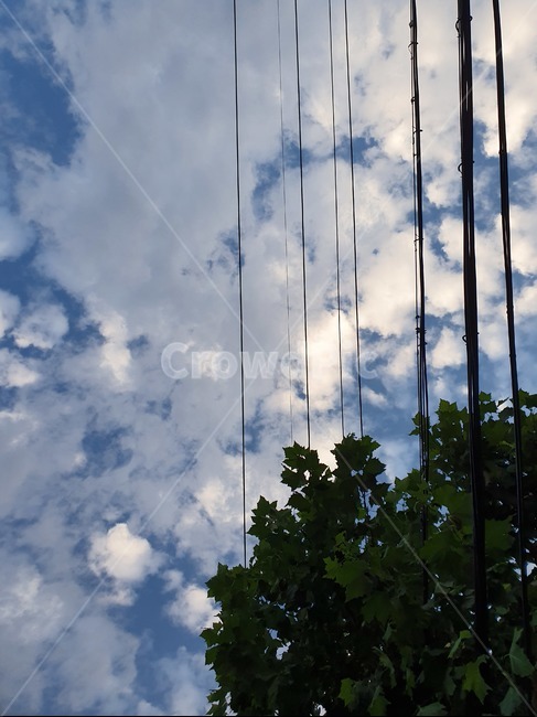 여름,가을,하늘,구름,자연,날씨,나무,나뭇잎,전선,전기줄,nature,cloud,weather,outdoor,sky,자연,풍경,nature,landscape,outdoors,옥외