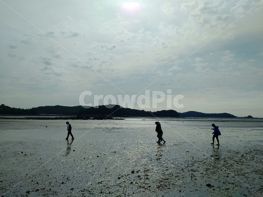 해변,갯벌,걷는사람들,해질녘,해안,실루엣,sunset,shore,walkingpeople,산책