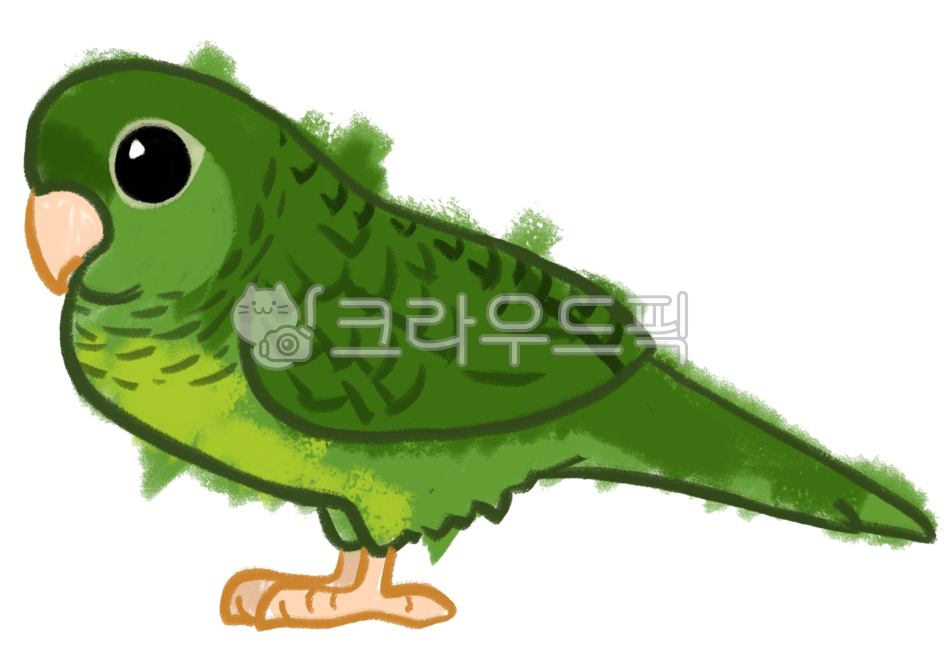 parrot picture,parrot png,bird painting,bird,macaw,animal,parrot,Sazanami picture,bird drawing png