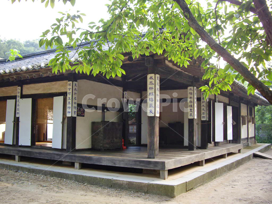 민속촌,민속마을,한옥,한국전통,전통,전통마을,한국문화,보존,한국의미,옛마을,village,nature,자연,풍경,korean,주거지,나무,traditional,culture,outdoors,옥외,마당,기와