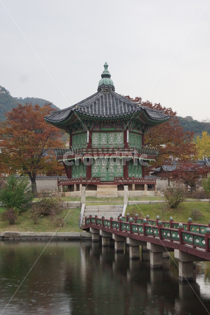 향원정,hyangwonjeong(pavilion),building,architecture,건축물,건물,한국전통,한국문화,korean traditional,korean culture,건축물,건물외관,exterior,building,structure,architecture,construction