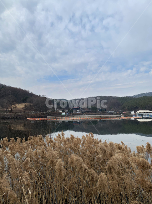 nature,water,물,outdoors,옥외,grass,잔디,plant,식물,갈대,갈대밭,저수지,바다,호수,강,풍경,자연,구름,하늘,산