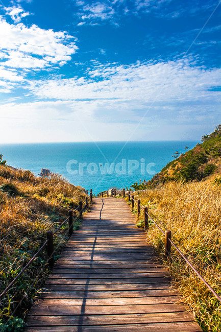 바다,자연,길,구름,식물,한국자연,풍경,nature,landscape,감성사진,감성,배,새로운길,산책로,겨울바다,한국자연경관,한국,자연,풍경,nature,landscape,한국자연풍경,한국자연경관,korea nature landscape,boardwalk,building,건물,bridge,다리