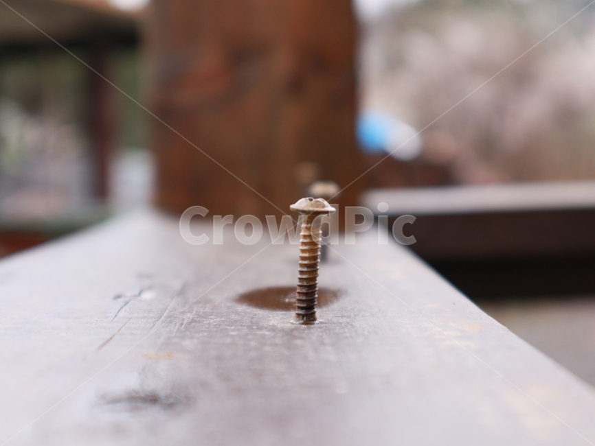 못,녹슨못,공구,포커스,목재,사물,물건,오브젝트,thing,object,matter