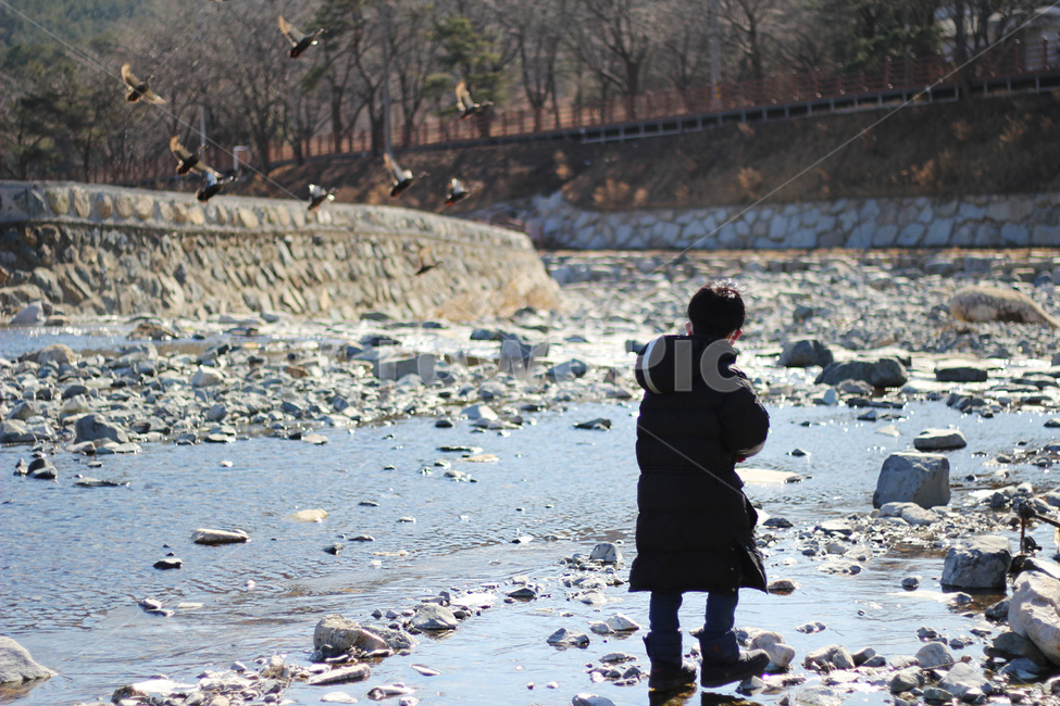 겨울아이,풍경,겨울,감성,사람,새,바람,겨울,계절,winter,season,사람,인물,인간,human,person,어린이,어린아이,child,children,kid