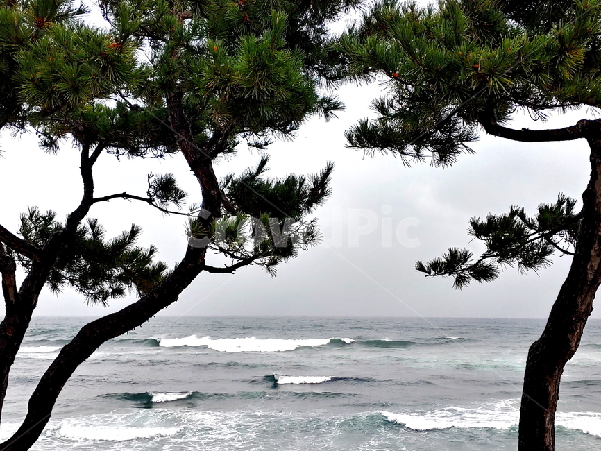 바다,파도,비,풍경,물결,자연,풍경,nature,landscape
