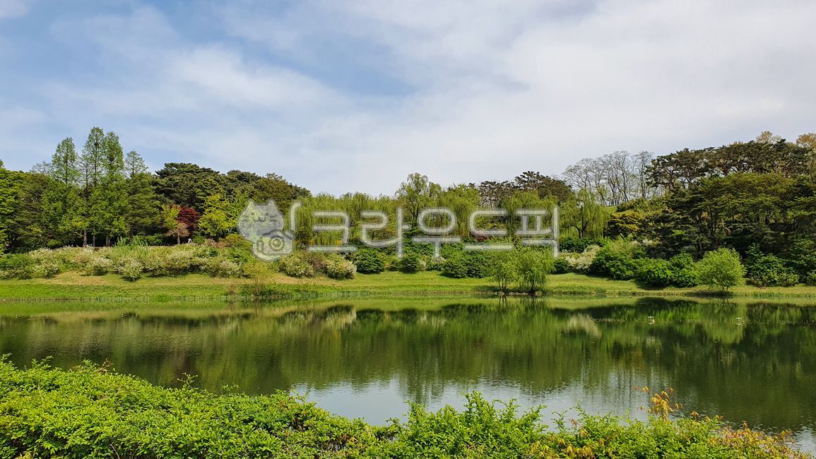 Olympic Park,Park,Nature,Lake,Lake Park