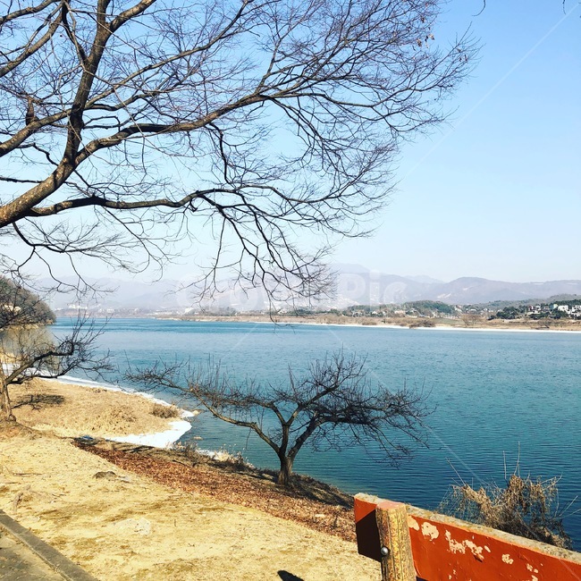 호수,나무,벤치,하늘,수평선,자연,풍경,nature,landscape,water,물,outdoors,옥외