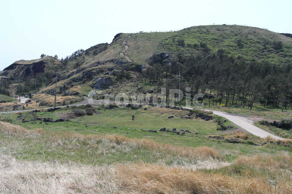 자연,언덕,제주도,풍경,nature,자연,풍경,nature,landscape,outdoors,옥외,hill