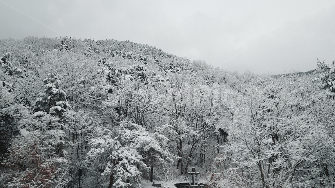 눈,설산,산,겨울,겨울왕국,겨울,계절,winter,season,자연,풍경,nature,landscape,outdoors,옥외