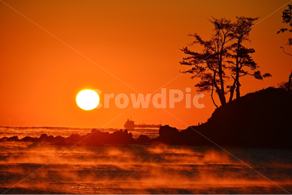 tree,나무,plant,식물,vegetation,초목,자연,outdoors,옥외,nature,landscape,경치,scenery,풍경,sky,하늘,dawn,새벽,울산,강양항,명선도,명선도일출,일출,아침,여명,해돋이,물안개,redsky,붉은하늘,한국자연풍경,한국자연경관,korea nature landscape