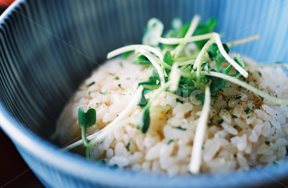 밥,음식,식사,무순,비빔밥,쌀밥,음식,식재료,요리,food,cook,meal,dishes,food reserves
