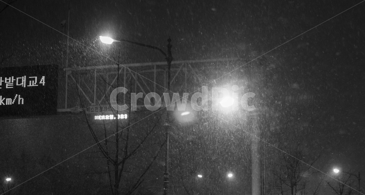 겨울,눈,가로등,밤,야경,전광판,winter,snow,streetlight,night,nightview,조명,lighting,겨울,계절,winter,season