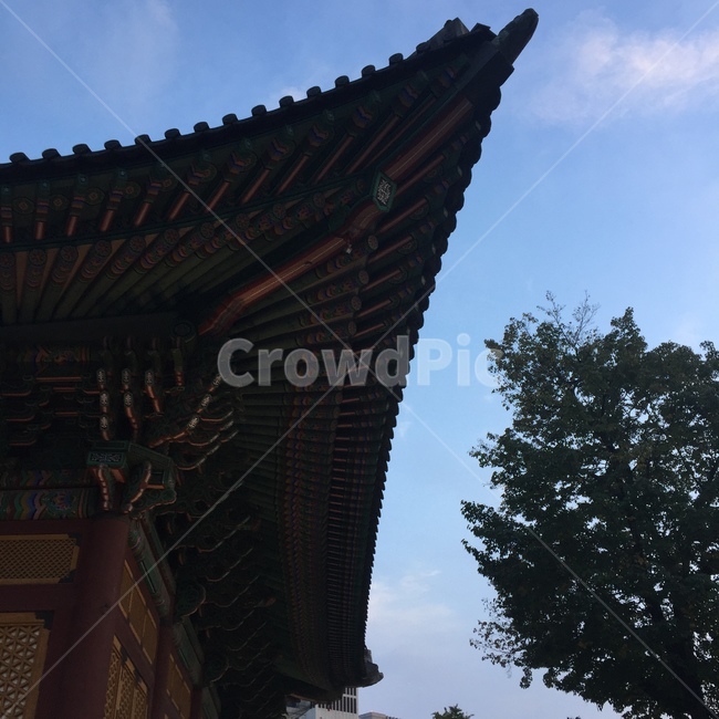 architecture,건축물,한옥,처마,하늘,building,건물,temple,한국전통,한국문화,korean traditional,korean culture,건축물,건물외관,exterior,building,structure,architecture,construction