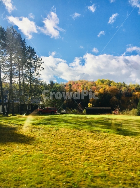 따뜻함,풍경,맑은하늘,맑은날씨,맑음,가을,몬트리올,가을,계절,fall,autumn,season,자연,풍경,nature,landscape,grass,잔디,plant,식물,lawn