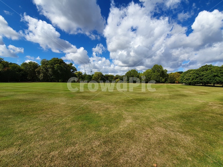 영국왕실정원,정원,england,nature,grass,잔디,자연,풍경,nature,landscape,outdoors,옥외,field,들,plant,식물