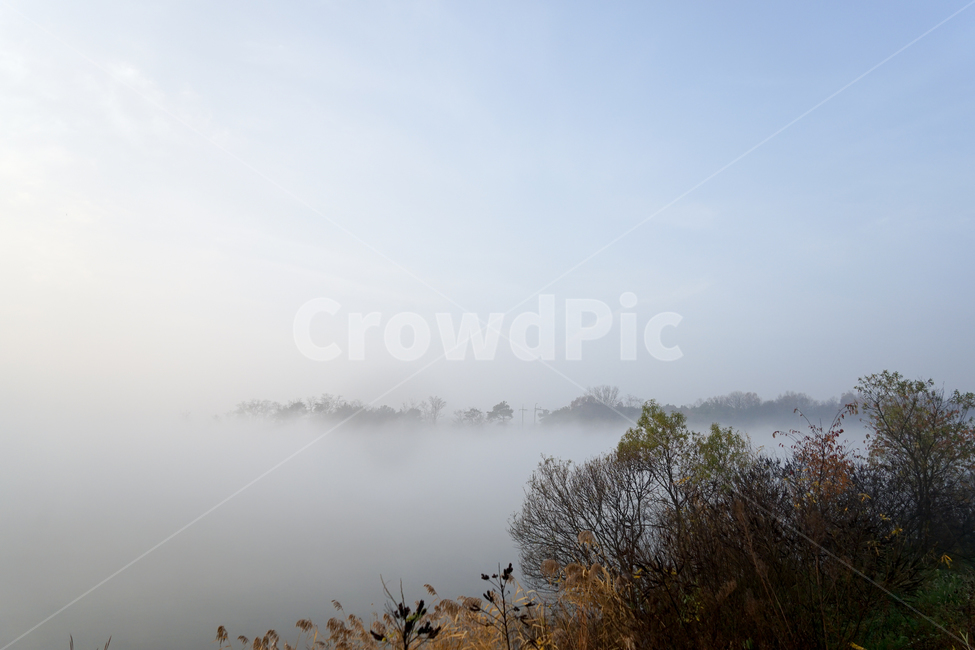 호수,새벽,풍경,안개,물안개,여명,자연,자연,풍경,nature,landscape,weather,날씨,outdoors,옥외