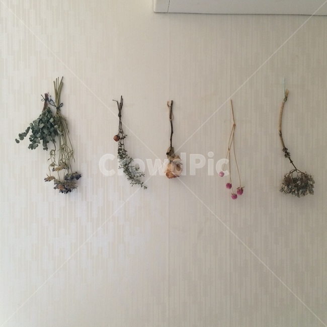 꽃,말린꽃,아늑,따듯,봄,계절,꽃,flower