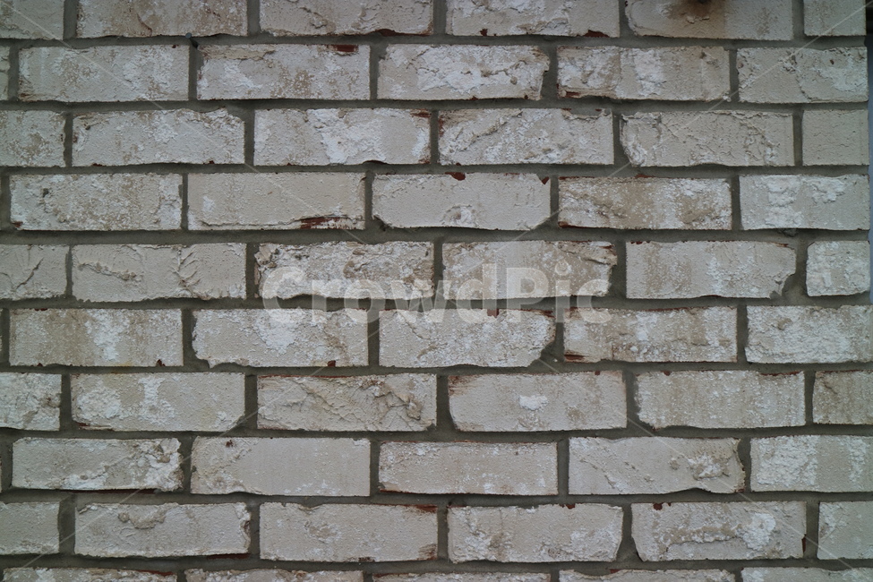 벽돌,벽,벽돌벽,담,담장,텍스처,질감,패턴,texture,pattern