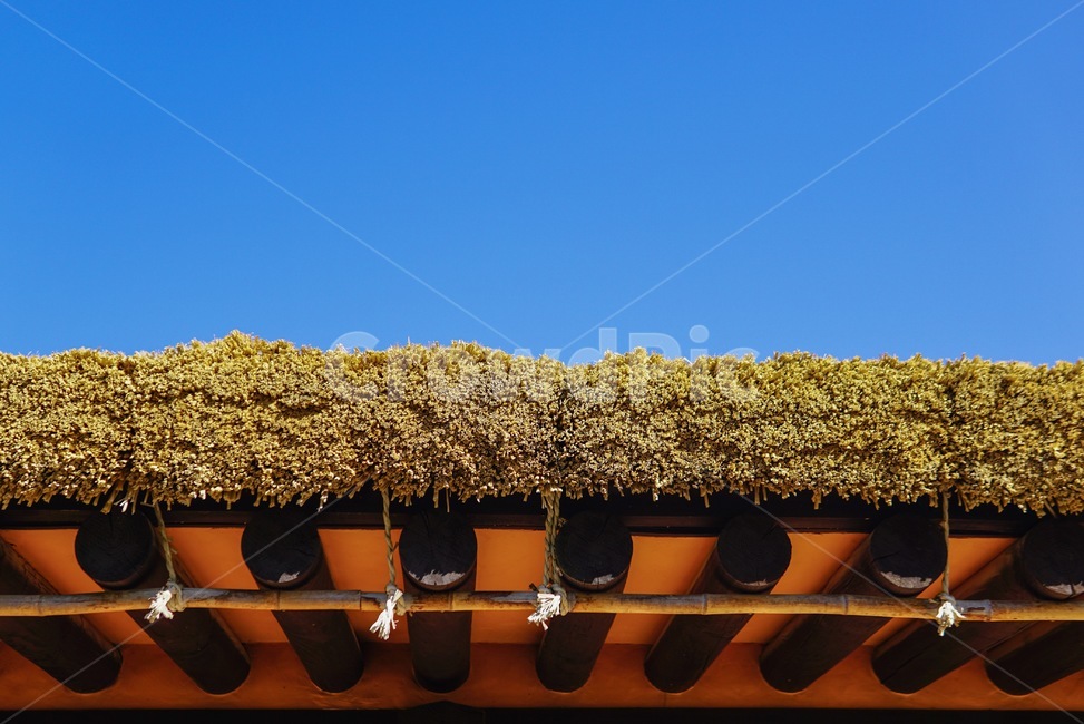 지붕,roof,가을,감성,푸름,수평