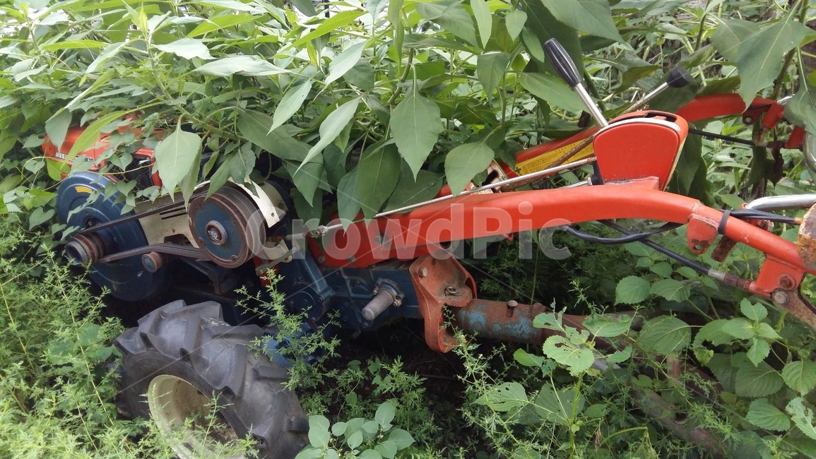 경운기, 방치, 고철, 바퀴, 폐기물, 사진,이미지,일러스트,캘리그라피 - 콩콩콩작가