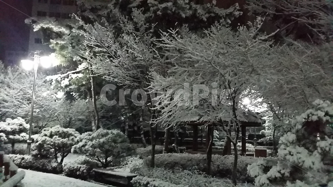 눈꽃,설경,운무,눈,산,겨울,계절,winter,season,자연,풍경,nature,landscape,outdoors,옥외