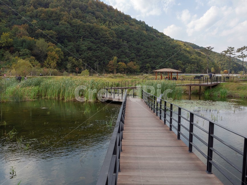 boardwalk,산책로,bridge,다리,물,water,건물,building,송해공원