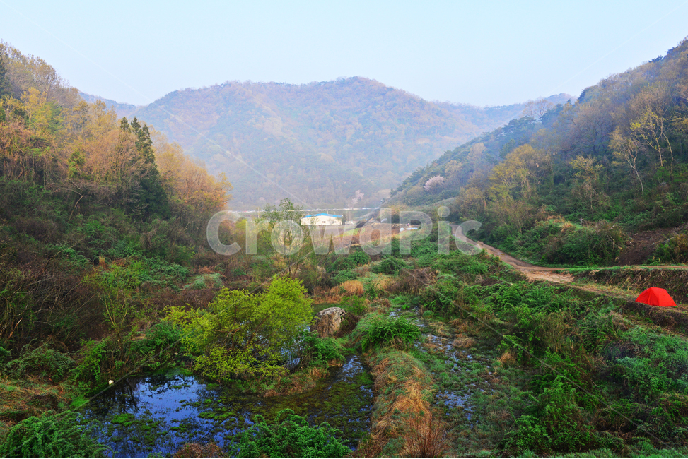전남,화순,세량지,세량제,물안개,벚꽃,산벚꽃,봄,계절,반영,아침,여명,해돋이,nature,자연,outdoors,옥외,fog,안개,weather,날씨,자연,풍경,nature,landscape