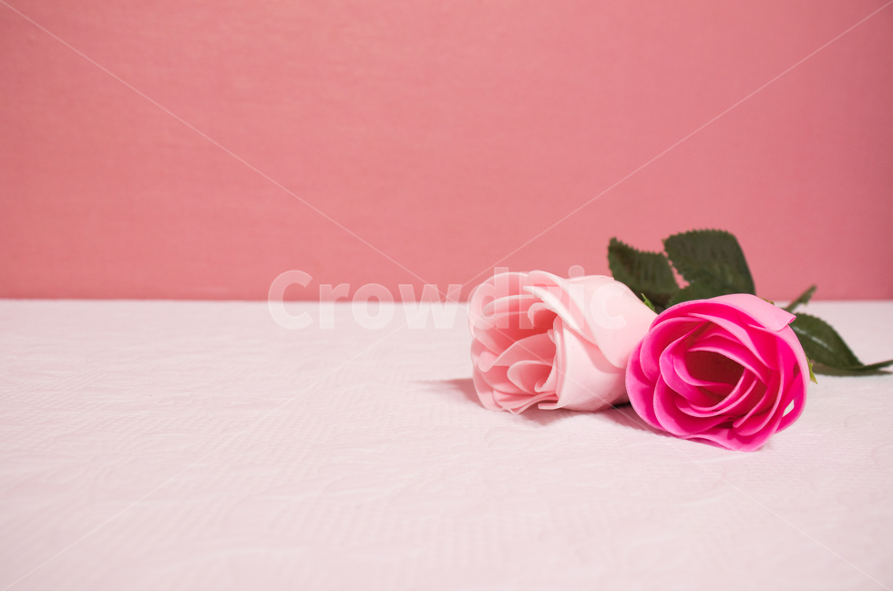 비누장미,비누꽃,꽃,장미,핑크색,soapflower,핑크,pink,분홍색,흰색,화이트,white,흰색배경,핑크배경,핑크색배경,장식,데코레이션,데코,decoration,decor,비누,비누디자인,디자인,design,꽃비누,flower,soap,rose,꽃,flower,기념일,축하,anniversary,congratulation,celebrate,celebration,연출,컨셉,콘셉,direction,concept