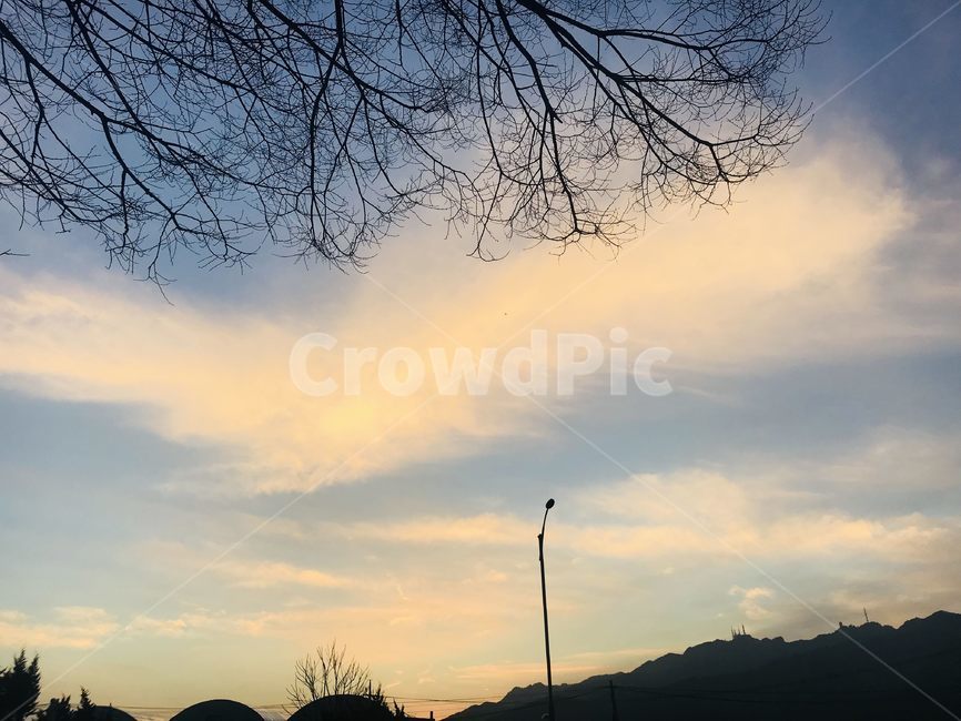 노을,하늘,나뭇가지,주황,sunset,자연,풍경,nature,landscape,outdoors,옥외