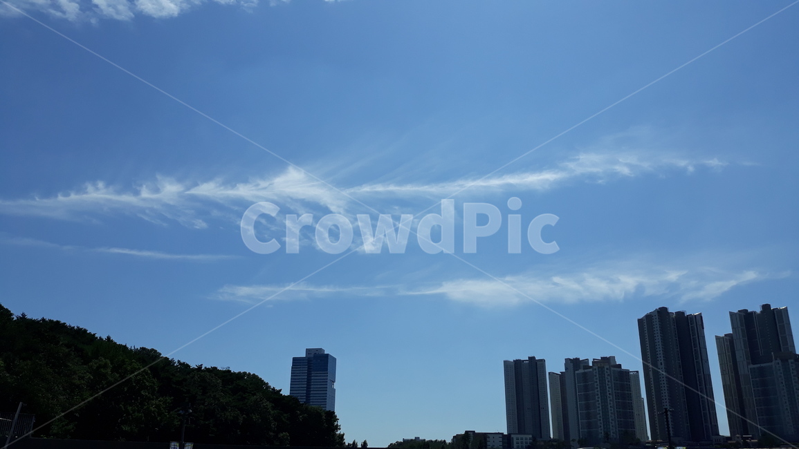 nature,자연,sky,하늘,구름,깃털구름,해,햇살,신기한구름,구름모양,파란하늘,하얀구름