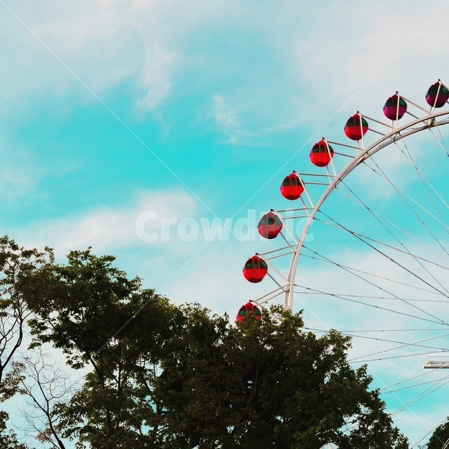 sky,Amusement Park,ferris wheel,sight,tree