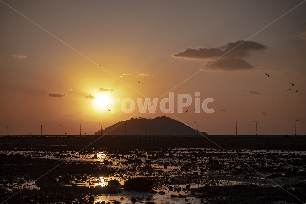 light,빛,flare,플레어,옥외,outdoors,sunlight,햇빛,자연,제주도,제주도섬,비양도,비양도석양,석양,노을,노을섬