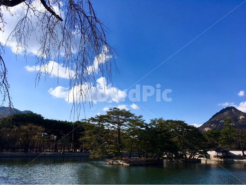 나무,nature,자연,풍경,하늘,tree,plant,식물,outdoors,옥외,자연,풍경,nature,landscape