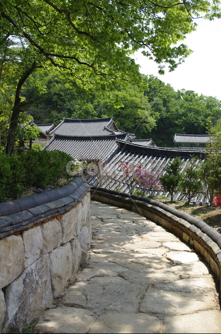 부석사,건축,전통건축,traditional,전통,기와지붕,담장,초록,나무,잎,식물,plant,계절,봄,spring,한국전통,한국문화,korean traditional,korean culture