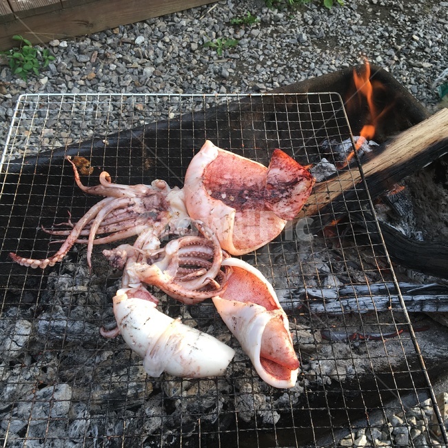 오징어,구이,장작,캠핑,불