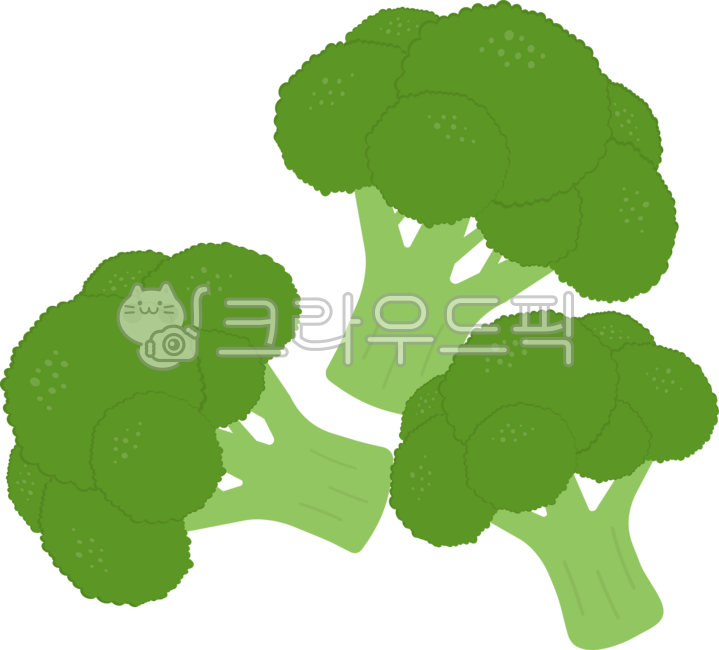 Broccoli,broccoli drawing,broccoli illustration,vegetable broccoli,vegetable broccoli,salad broccoli,vegetable,vegetable,salad