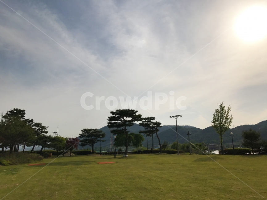 가을하늘,하늘,가을,청량함,잔디밭,잔디,나무,자연,풍경,nature,landscape,grass,plant,식물,lawn